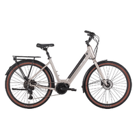 VelectriX Cruiser X ST Mid-Drive Step-Through eBike