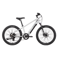 VelectriX Ascent 24 Hub-Drive eMTB