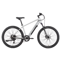 VelectriX Ascent 27.5 Hub-Drive eMTB